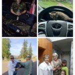 Котёнок Буся — надежда матери на возвращение сына домой Котёнок Буся — надежда матери на возвращение сына домой
